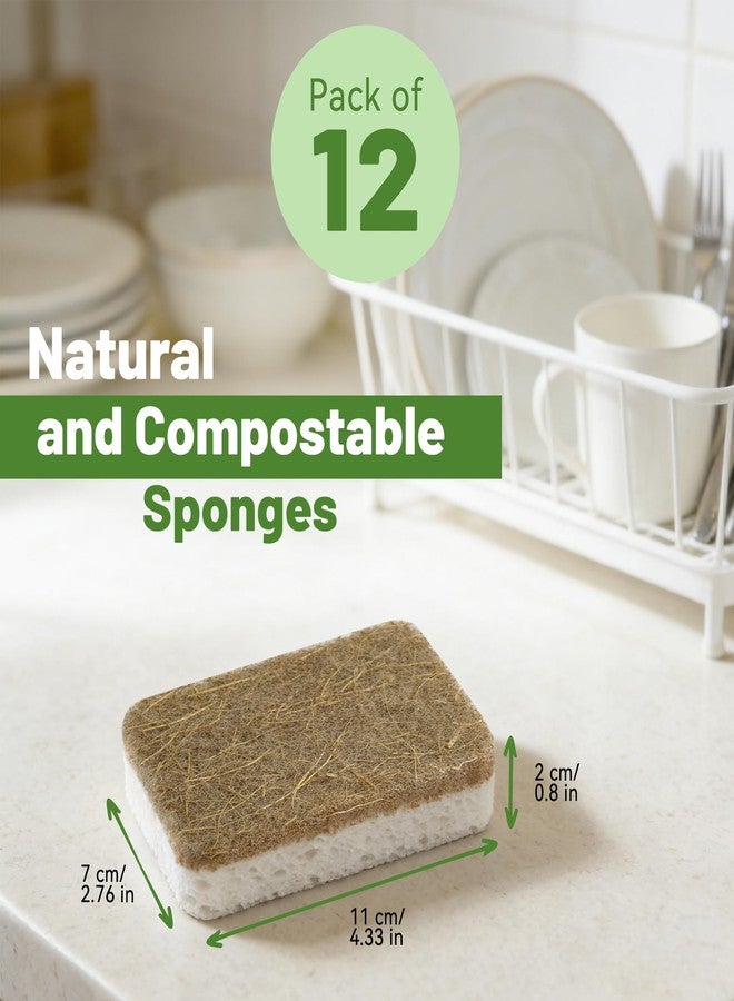 derloyo 12 Count Plant-Based Kitchen Sponges, Compostable Cellulose Sponge, Biodegradable Sponges for Dishes, Non-Scratch Cleaning Sponges for Kitchen, Bathroom, Household Cleaning - Image 2