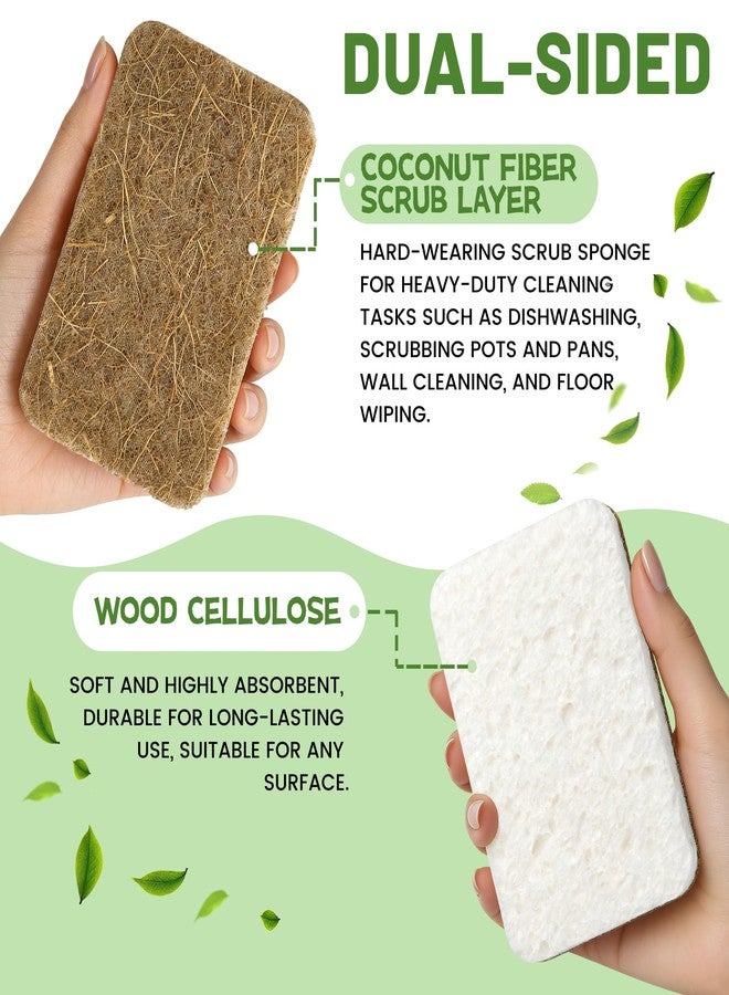 derloyo 12 Count Plant-Based Kitchen Sponges, Compostable Cellulose Sponge, Biodegradable Sponges for Dishes, Non-Scratch Cleaning Sponges for Kitchen, Bathroom, Household Cleaning - Image 3