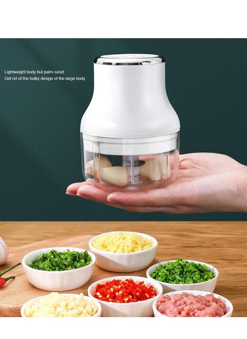 Plan A - Portable Mini Electric Garlic Masher – Multifunctional Vegetable Chopper, Wireless One-Button Food Processor, USB Charging, Easy to Clean, Suitable for Garlic, Onion, Fruit, Nuts, Baby Food-100ml - Image 1