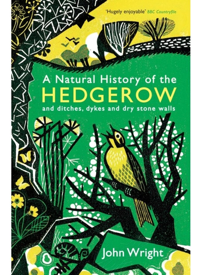 A Natural History of the Hedgerow and ditches dykes and dry stone walls - Paperback