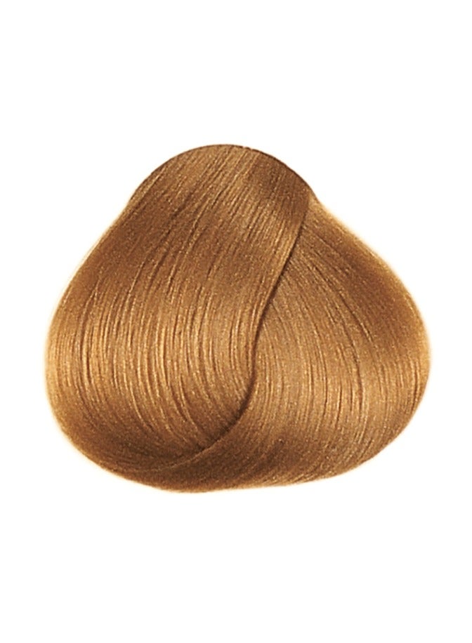 framesi FRAMCOLOR 2001 - Permanent Hair Colouring Cream 60 ML | 8/SD Pale Golden - Image 2