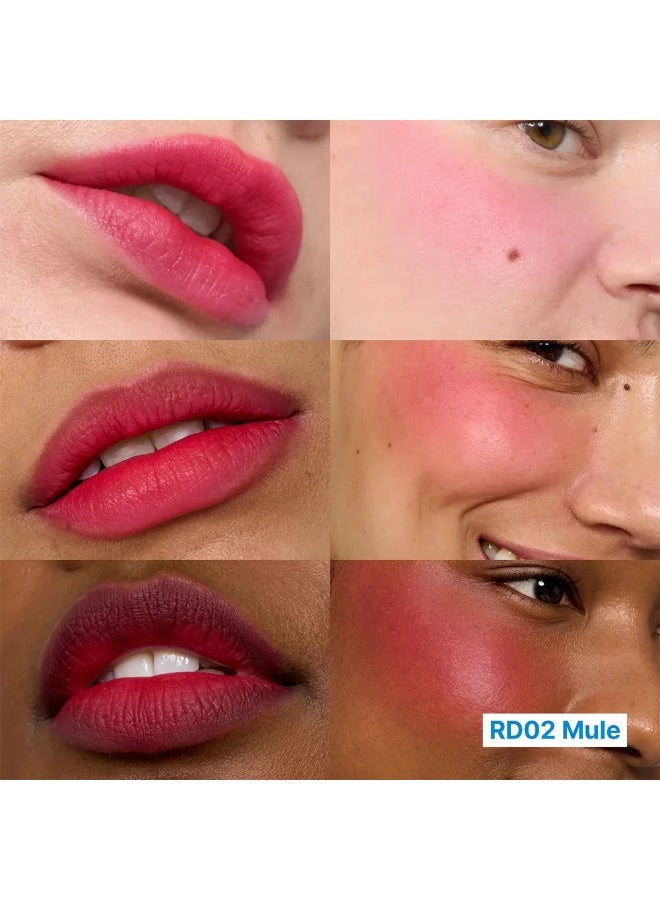 fwee Lip & Cheek Blurry Pudding Pot RD02 Mule 5g - Image 3