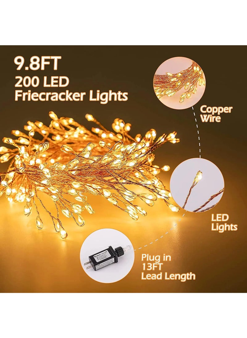 Loquat 100LED warm white light series suitable for indoor and outdoor festival lighting - Image 4