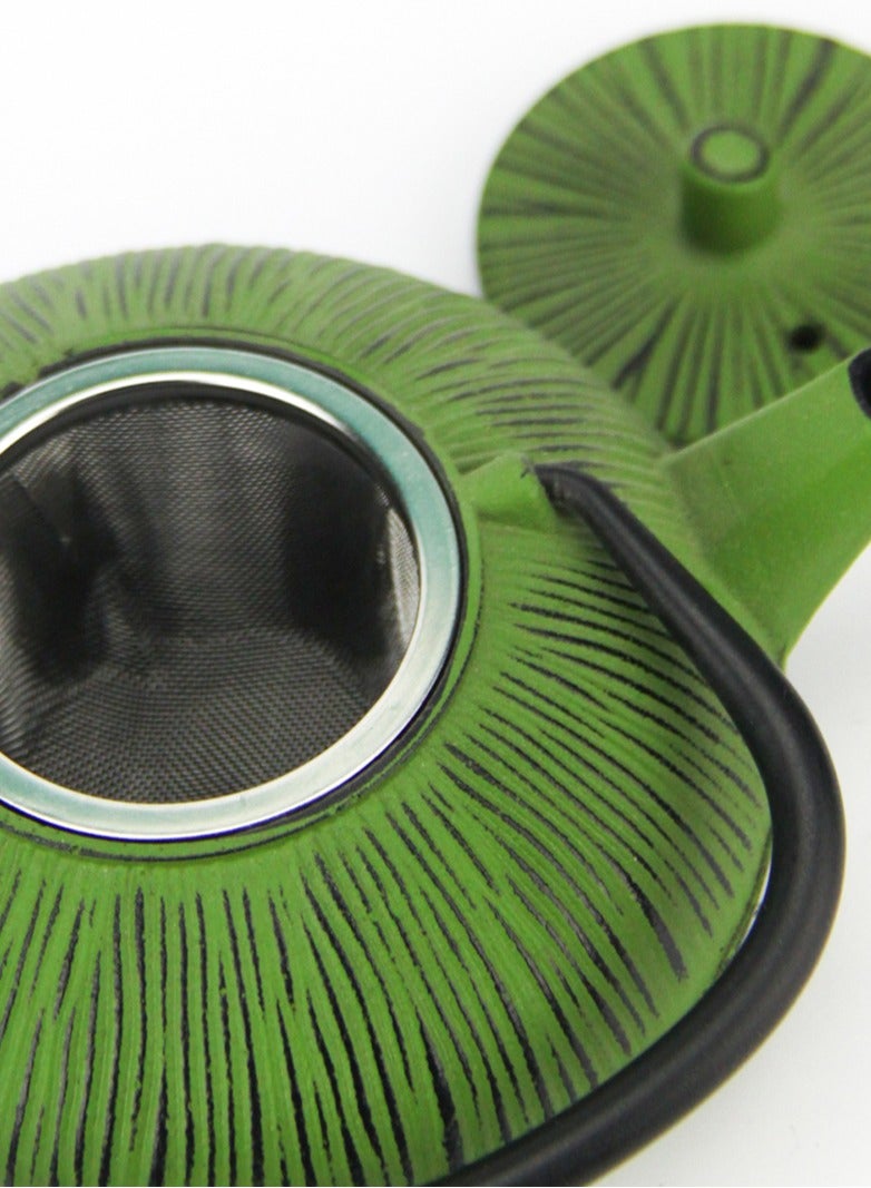 Tealand Durable Coated with Enamel Interior Cast Iron Teapot with Stainless Steel Infuser for Brewing Loose Tea Leaf 0.5 Liter Green - Image 3
