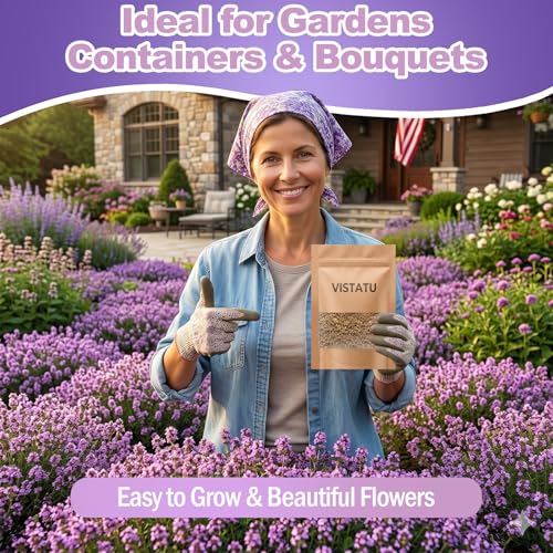 VISTATU 21000+ Magic Purple Creeping Thyme Seeds for Planting Ground Cover Plants Heirloom Flowers Perennial Thyme Non-GMO Thymus Serpyllum Seed - Image 5