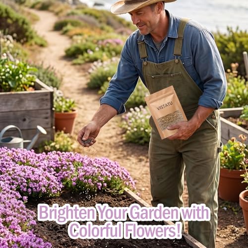 VISTATU 21000+ Magic Purple Creeping Thyme Seeds for Planting Ground Cover Plants Heirloom Flowers Perennial Thyme Non-GMO Thymus Serpyllum Seed - Image 3
