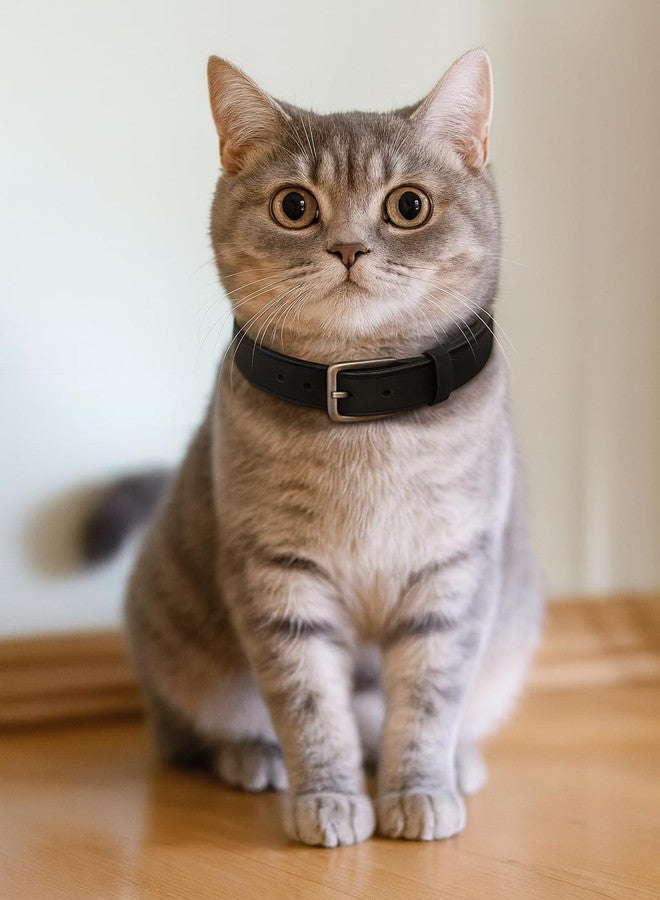 طوق ناعم من الجلد الصناعي للحيوانات الأليفة، مناسب للكلاب والقطط الصغيرة | حزام رقبة مريح قابل للتعديل ومضاد للاختناق | طوق خفيف الوزن ومتين للجراء والقطط الصغيرة - Image 4