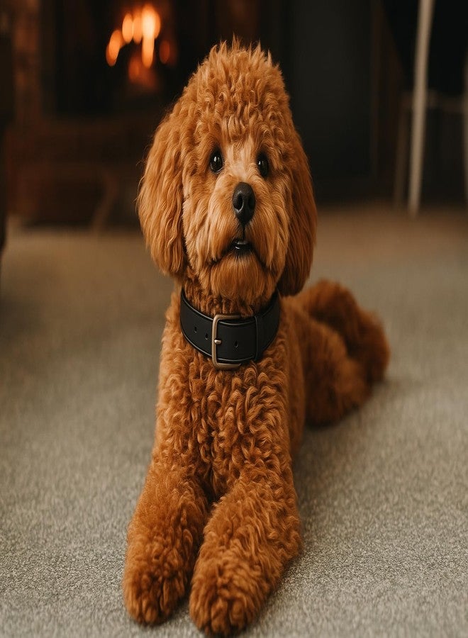 طوق ناعم من الجلد الصناعي للحيوانات الأليفة، مناسب للكلاب والقطط الصغيرة | حزام رقبة مريح قابل للتعديل ومضاد للاختناق | طوق خفيف الوزن ومتين للجراء والقطط الصغيرة - Image 3