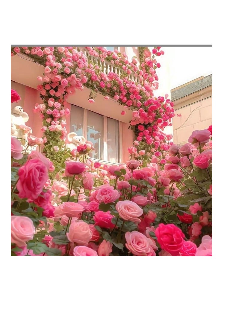500Pcs Climbing Rose Seeds Red Pink - Image 1