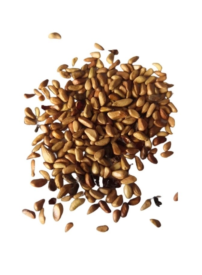 500Pcs Climbing Rose Seeds Red Pink - Image 2