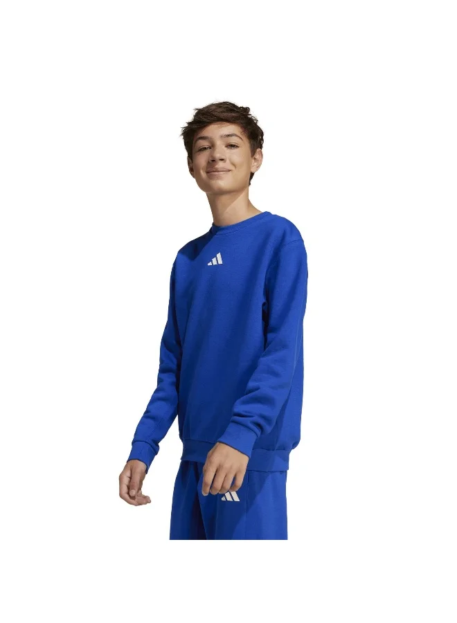 اديداس adidas j all szn gfx sweat unisex sweatshirt