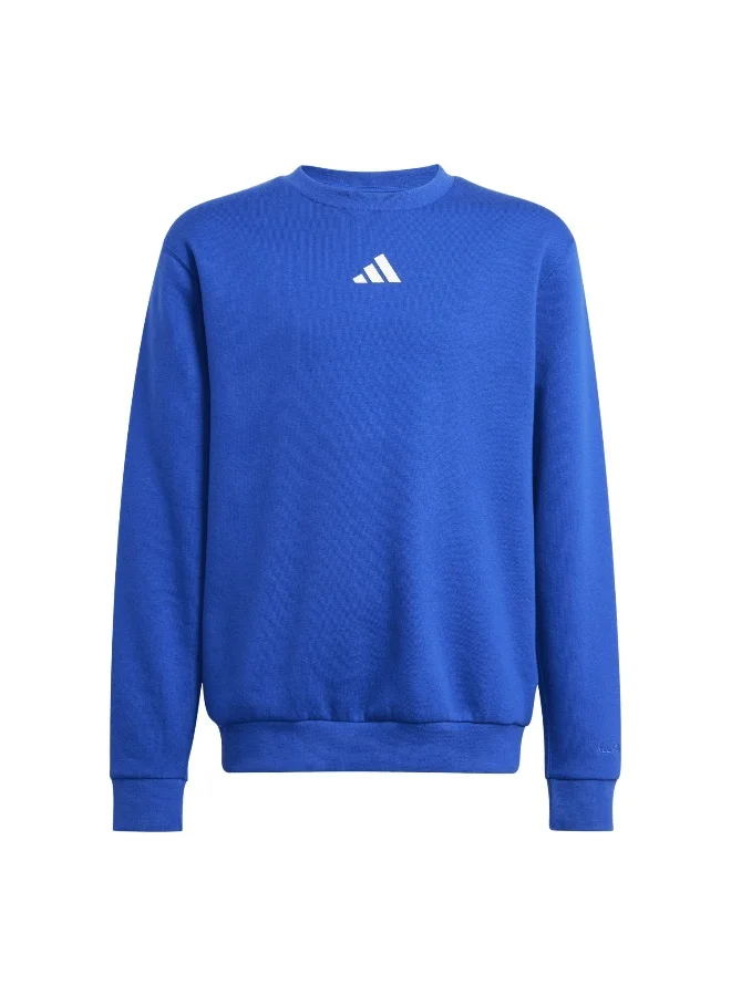 اديداس adidas j all szn gfx sweat unisex sweatshirt
