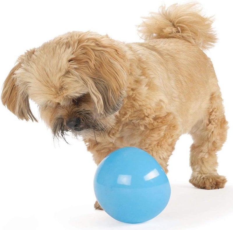 Planet Dog Orbee-Tuff Snoop Interactive Treat Dispensing Toy - Large, Blue - Image 4