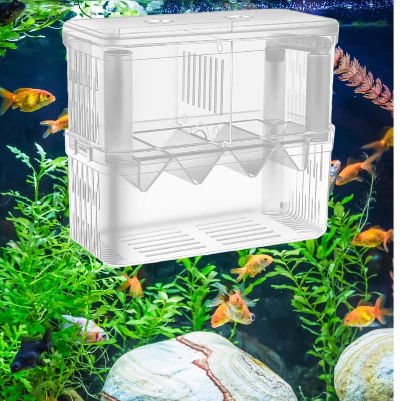 Scroll Store Store Aquarium Double Deck breeding Box for Fish | Isolation Box for Fish and Shrimp (Large) - Image 3