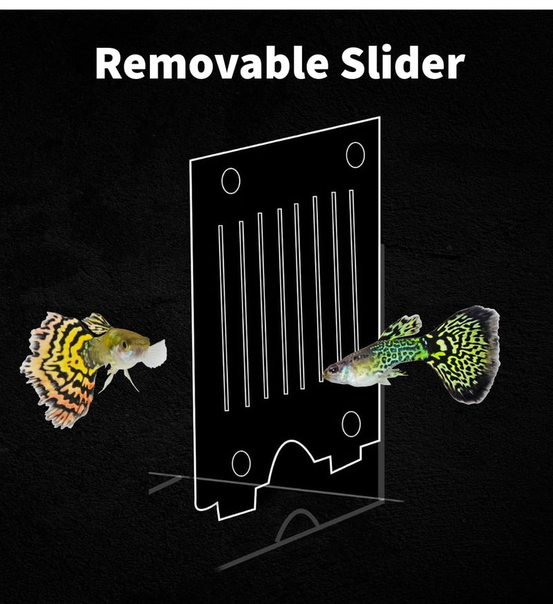 Scroll Store Store Aquarium Double Deck breeding Box for Fish | Isolation Box for Fish and Shrimp (Large) - Image 4