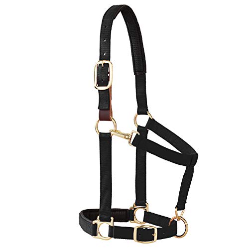 Weaver Leather Padded Breakaway Adjustable Chin & Throat Snap Halter, 1" Average Horse or Yearling Draft - Image 1
