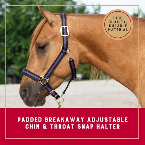 Weaver Leather Padded Breakaway Adjustable Chin & Throat Snap Halter, 1" Average Horse or Yearling Draft - Image 2