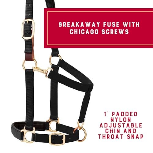 Weaver Leather Padded Breakaway Adjustable Chin & Throat Snap Halter, 1" Average Horse or Yearling Draft - Image 3