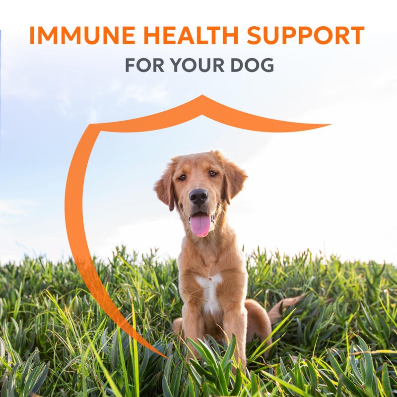 Nutramax Laboratories مكمل صحة المناعة من نوترامكس لابوراتوريز نوترامكس إيموكوين على شكل مسحوق للكلاب، مع بيتا غلوكان، دهون بحرية، فيتامينات ومعادن، 30 عبوة، نسخة محدثة - Image 2