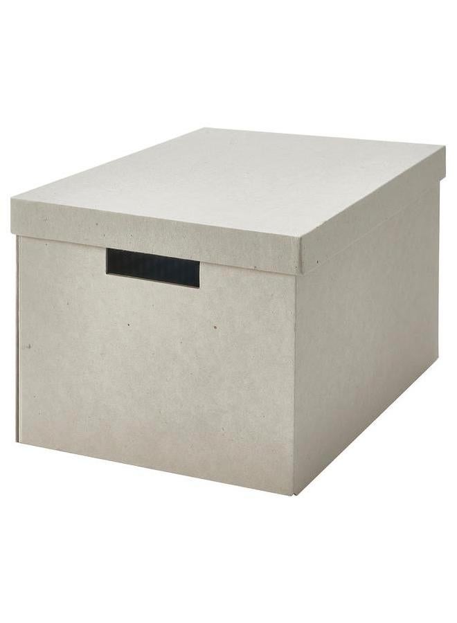 إيروريكس صندوق تخزين مع غطاء لون طبيعي بيج 25X35X20 سم - Image 1