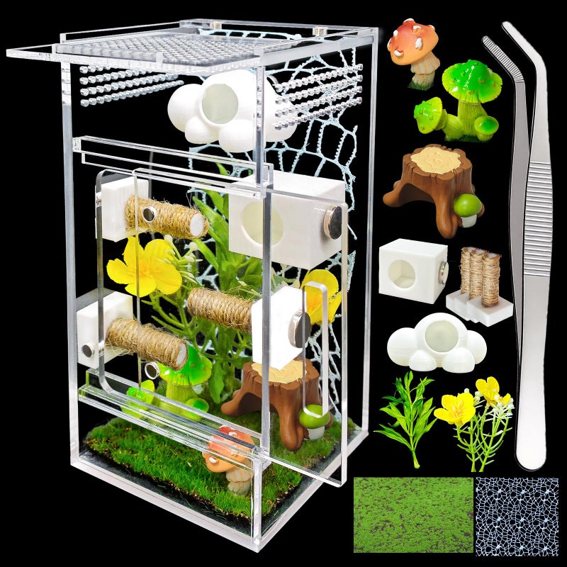 KFPSHLQE Jumping Spider Enclosure,DIY Insects Habitat,Small Reptile Terrarium Glass House Accessories Set,with Jumping Platform Hide Climbing Net(Green 2) - Image 1