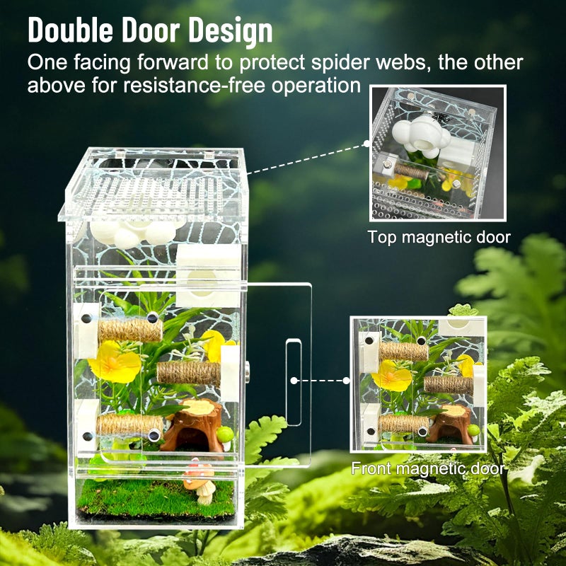 KFPSHLQE Jumping Spider Enclosure,DIY Insects Habitat,Small Reptile Terrarium Glass House Accessories Set,with Jumping Platform Hide Climbing Net(Green 2) - Image 5
