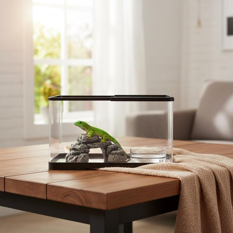 Transparent Reptile Habitat Easy Clean Arachnid Habitat Box Acrylic Arachnid Enclosure for Amphibian Keepers, Black, M - Image 2