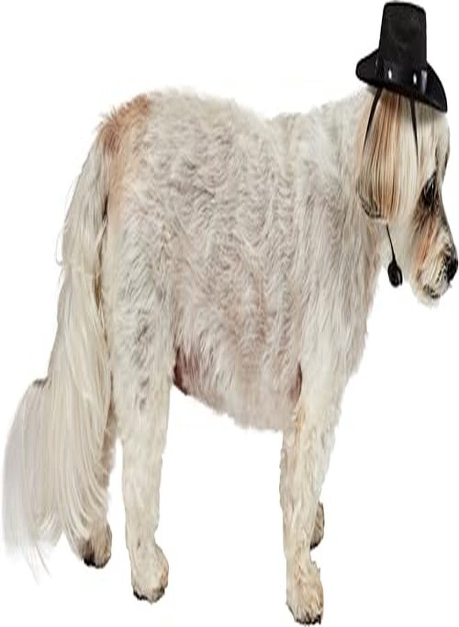 Rubies Cowboy Pet Hat for Dogs or Cats, S/M - Image 3