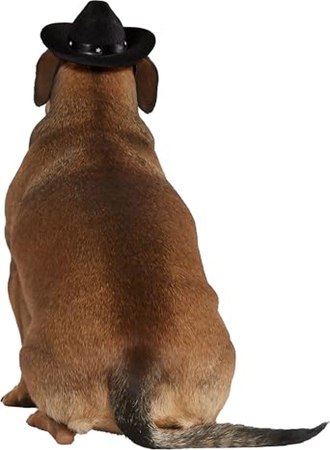 Rubies Cowboy Pet Hat for Dogs or Cats, S/M - Image 4