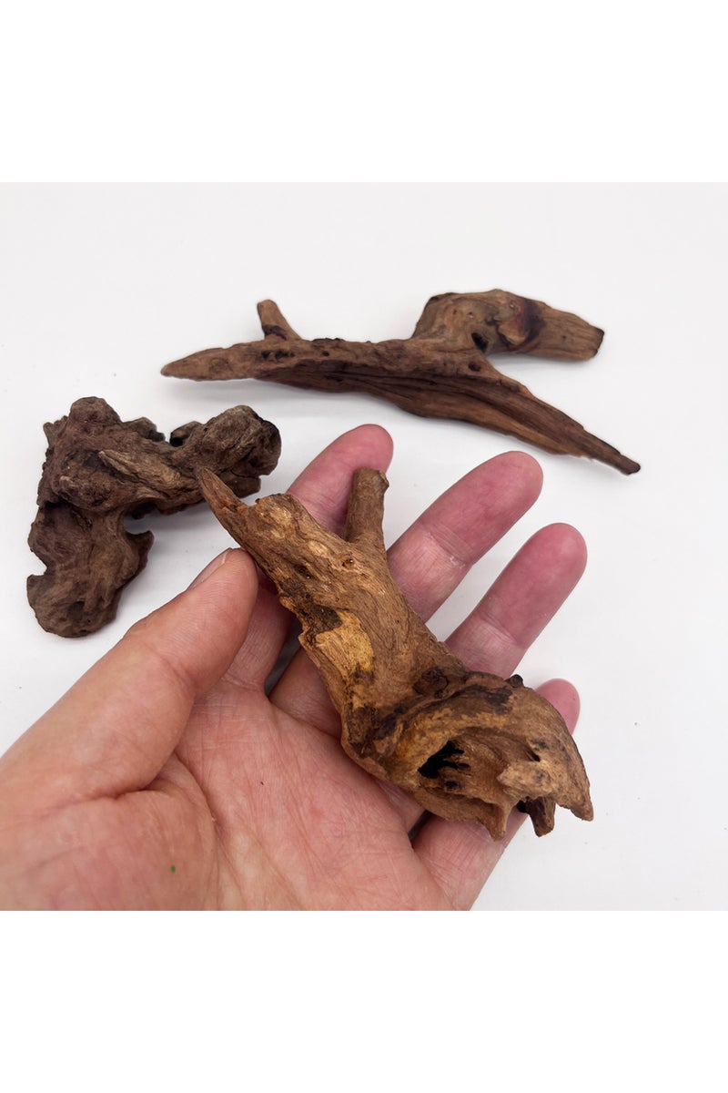 إيروريكس 3 قطع من أغصان الخشب الصغيرة بطول 5-10 سم، أو 3/6/9 قطع لتزيين المناظر الطبيعية الصغيرة، مصنوعة من أغصان الخشب بطول 5-10 سم، وقطع صغيرة من الخشب الطافي لأحواض السمك.