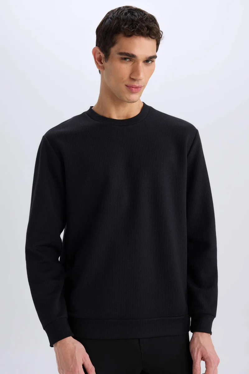 ديفاكتو Regular Fit Crew Neck Basic Sweatshirt