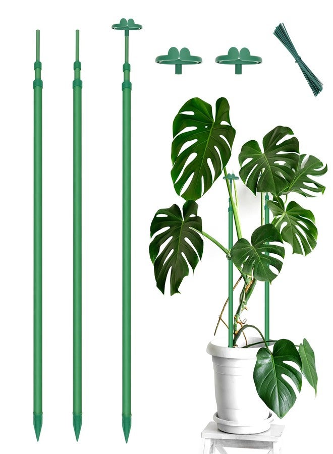 BOVITRO Extendable Plant Stakes, Length Scalable from 17.9IN to 42.3IN Plant Support Stake, Orchid Sticks with Clips for Indoor Outdoor,Garden Stakes for Plant,Tomato,Vegetables,Monstera,Vine - 3Pack - Image 1