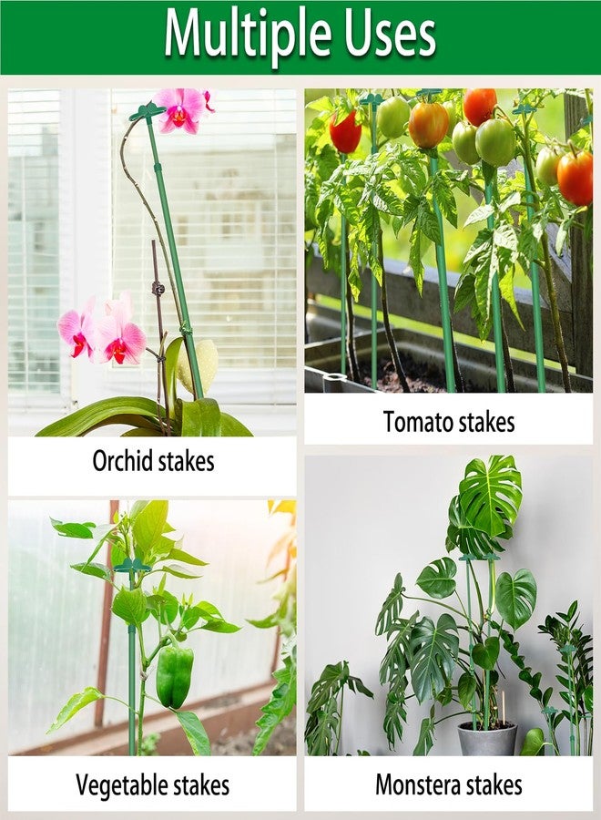 BOVITRO Extendable Plant Stakes, Length Scalable from 17.9IN to 42.3IN Plant Support Stake, Orchid Sticks with Clips for Indoor Outdoor,Garden Stakes for Plant,Tomato,Vegetables,Monstera,Vine - 3Pack - Image 5