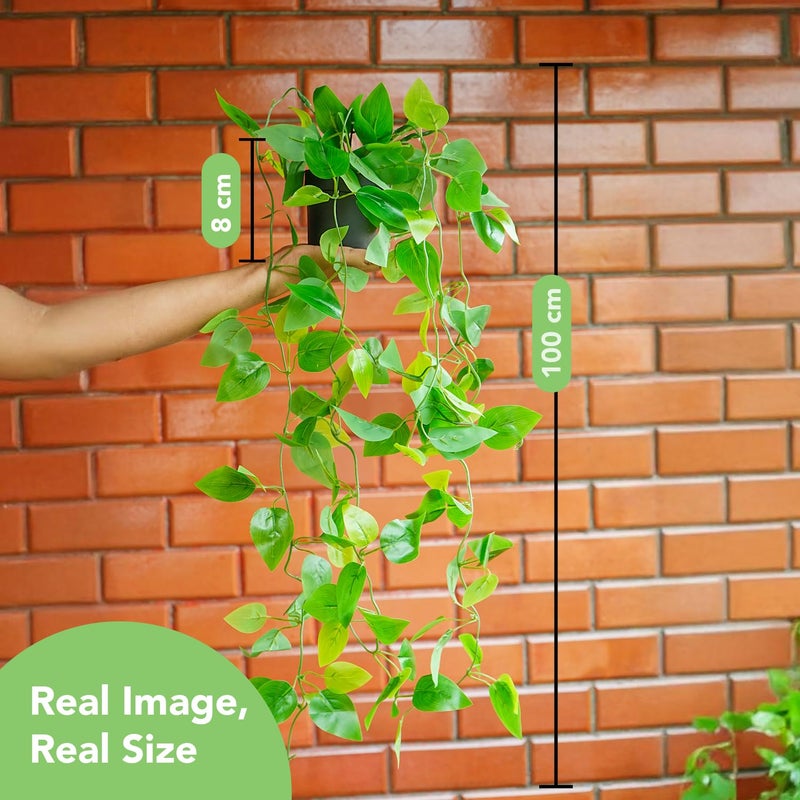 Ekhasa Golden Pothos Hanging Artificial Plants with Pot Set of 2 Money Plant Artificial Hanging Plants for Home Decor Falling Creepers Climbers Green Fake Vines with Hanging Pots Devils Ivy - Image 3