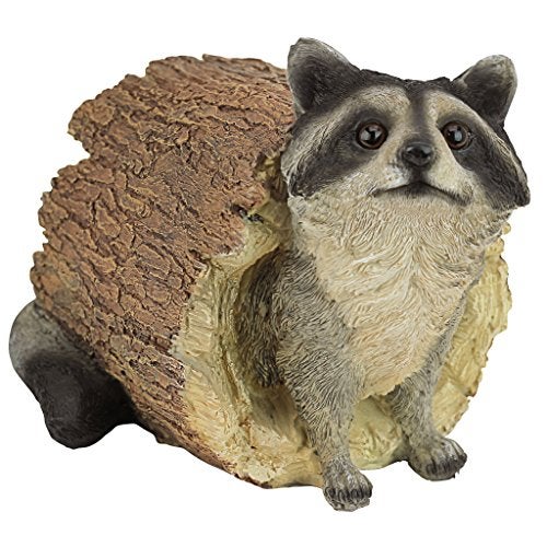 Design Toscano Bandit the Raccoon Indoor/Outdoor Garden Animal Statue, 10 Inch Long, Cast Stone Resin, Full Color Finish - Image 1