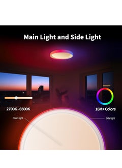 LED Ceiling Light T1M with Matter,+IC with Gradient Effects and 16 Million Colors, 40W 3450lm, 2700-6500K Tunable White, Supports HomeKit, Alexa and IFTTT - pzsku/Z0441E7EC8CB1B87AE6A6Z/45/_/1731249874/a07106dc-6c16-4bee-993c-deb106ee34a4