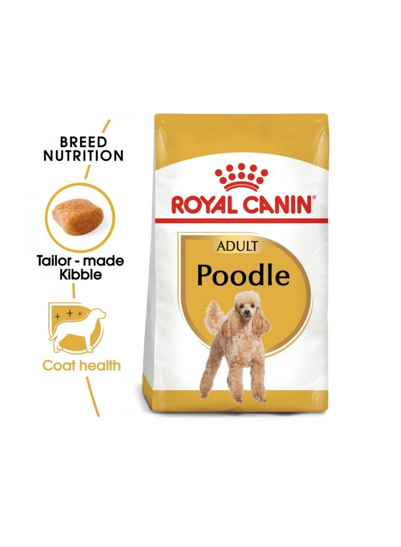 رويال كانين بودل - للبالغين - 1.5 كجم