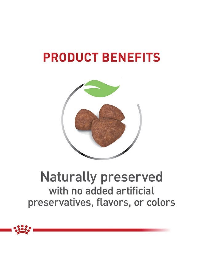 رويال كانين طعام جاف للكلاب الصغيرة من رويال كانين سايز هيلث نيوتريشن إندور بابي، كيس 2.5 رطل - Image 2