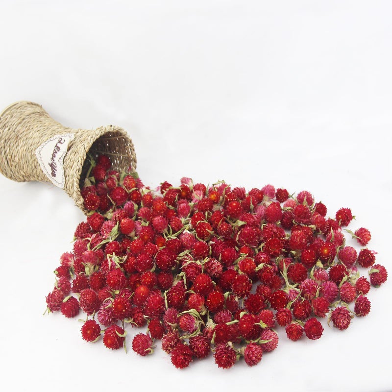 CITYES 220 Pcs Dried Flower Heads for Crafts Red Globe Amaranth Dried Flowers Heads Bulk Natural Dried Gomphrena Globosa Flower Dry Flower Arrangements for Wedding Decor Home Party Headband DIY - Image 4