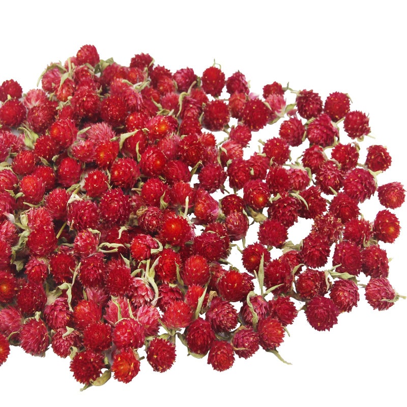 CITYES 220 Pcs Dried Flower Heads for Crafts Red Globe Amaranth Dried Flowers Heads Bulk Natural Dried Gomphrena Globosa Flower Dry Flower Arrangements for Wedding Decor Home Party Headband DIY - Image 1
