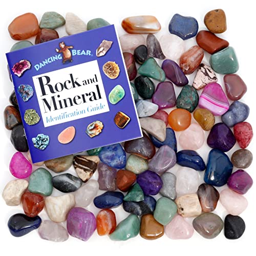 DANCING BEAR 2 Pounds lbs Tumbled Polished Natural Dyed Gem Stones Educational Color ID Sheet 28 Page Rock Mineral Identification Book Average Stone Size 1 inch Limited Edition - Image 1