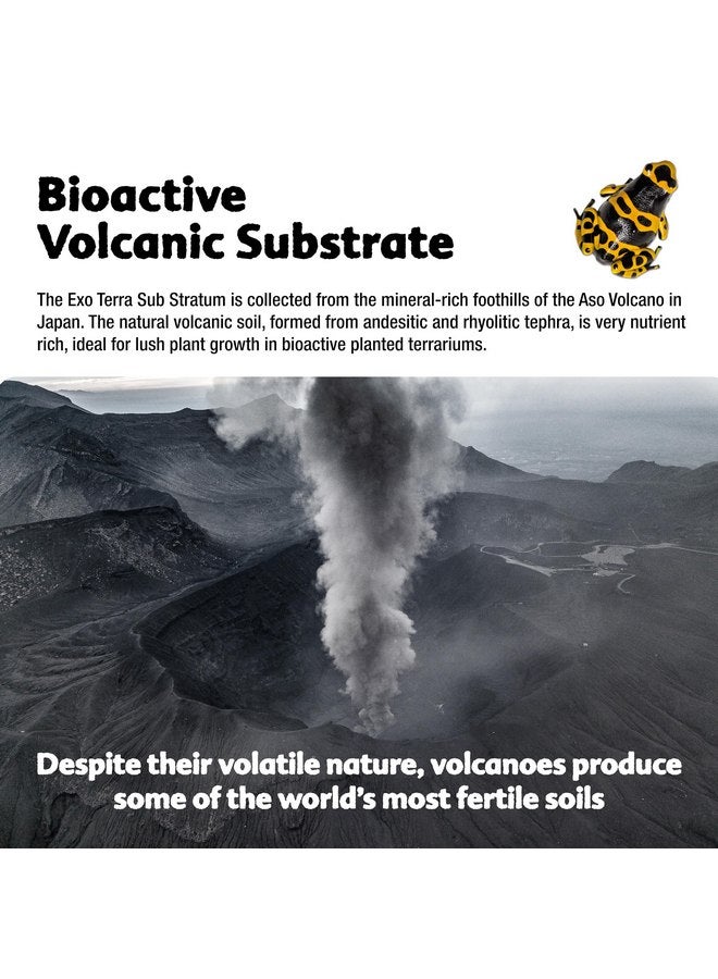 إكسو تيرا Exo Terra Sub Stratum، ركيزة بركانية نشطة بيولوجيًا لتراريوم الزواحف، تزيل الروائح وتوفر مستويات الرطوبة الصحيحة 8.8 رطل - Image 3