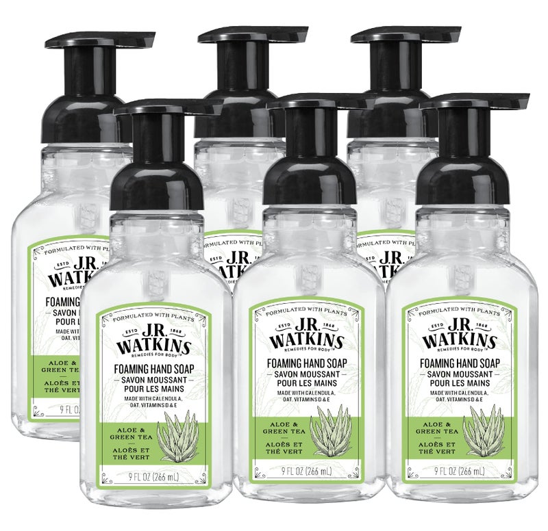JR Watkins Foaming Hand Soap Pump with Dispenser Moisturizing All Natural Hand Soap Foam AlcoholFree CrueltyFree USA Made Use as Kitchen or Bathroom Soap Aloe Green Tea 9 fl oz 6 Pack