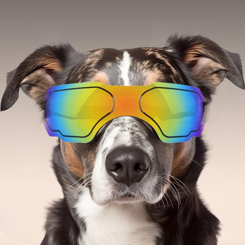Colorful Pet Sunglass Cool Animal Glasses Lovely Fashion Pet Sunglass for Small Dogs and Puppies Durability Dog Sunglasses - Image 5