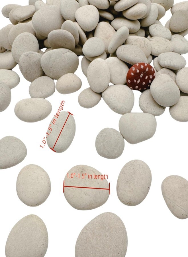 lifetop Tiny White Painting Rocks DIY Rocks for Painting Detail-Painting Smooth Surface Stones,Arts and Crafts ，1.0 to 1.5 inches ，So Small Rocks, Hand Picked for Painting Rocks (1LB) - Image 3