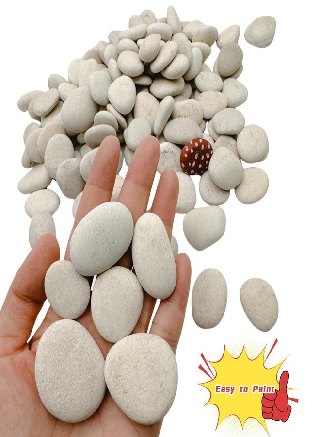 lifetop Tiny White Painting Rocks DIY Rocks for Painting Detail-Painting Smooth Surface Stones,Arts and Crafts ，1.0 to 1.5 inches ，So Small Rocks, Hand Picked for Painting Rocks (1LB) - Image 2