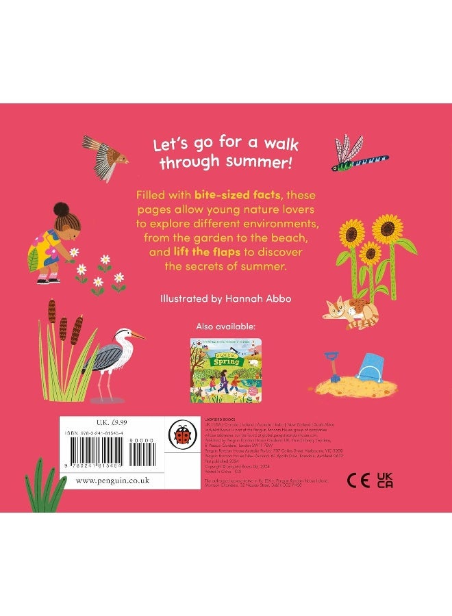 A Walk in Summer: Lift the flaps to reveal the secrets of the season - Image 2
