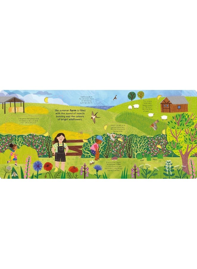 A Walk in Summer: Lift the flaps to reveal the secrets of the season - Image 5