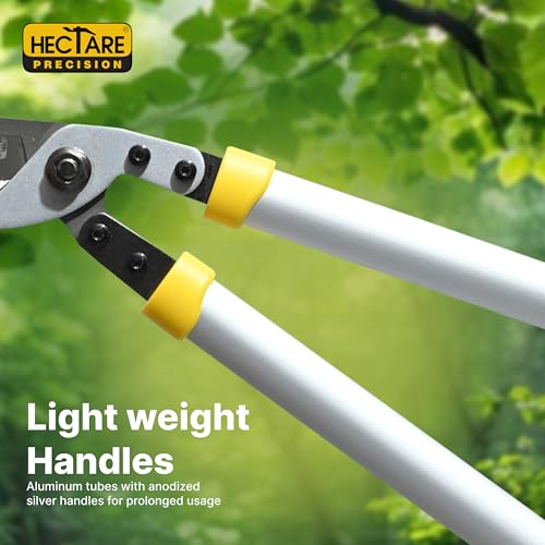 HECTARE Precision Loppers - Heavy Duty Tree Branch Cutter, 35mm Cut, Anvil Design. Durable Tree Trimmer for Gardening, Pruning Small Branches & Stems. - Image 5