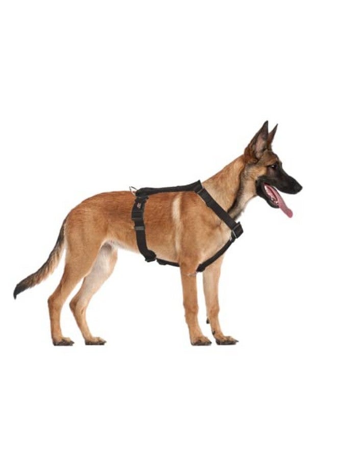 تريكسي حزام H-Harness الفاخر للكلاب، تصميم أنيق، شريط شبكي قابل للتعديل، تخفيف الضغط، أحزمة خفيفة الوزن وقابلة للتعديل (L-Xl، أسود) - Image 3